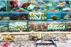 Image variety of seafood