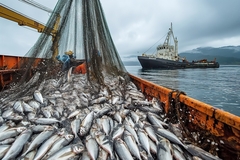 Image A fishing vessel.