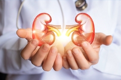 Image Kidney health