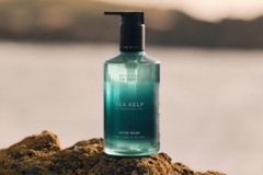 Image Bottle of sea kelp formula on rock with ocean behind