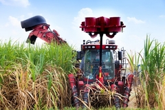 Image a red tractor harvesting sugarcane