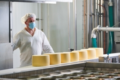 Image Dairy factory worker at cheese food production conveyer