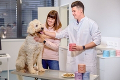A person and person petting a dog and holding a can