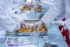 Image Chinese scientists working with cordyceps mushrooms.