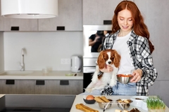 Image A woman makes her King Charles Spaniel food on the kitchen counter.