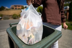 woman recycling