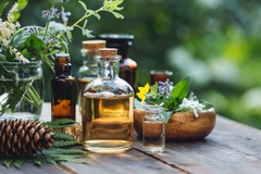 Image plant based ingredients