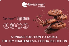 Image TechnicalPaperBiospringer