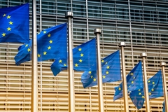 A line of EU flags.