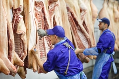 Image Abattoir.