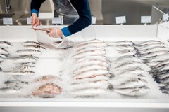 Image frozen fish on a counter