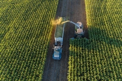 Image A farm.
