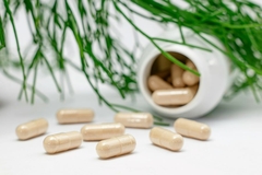 Image Nutraceutical supplements