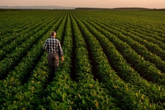 Image Farmer in a field.