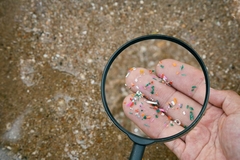 plastic pellet spill