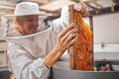 Image A honey factory.