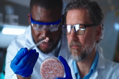 Image Scientists examining cell-based meat in a petri dish.