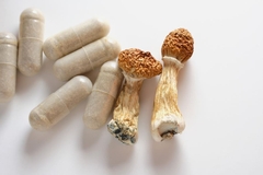 Image Dried magic mushroom and capsules
