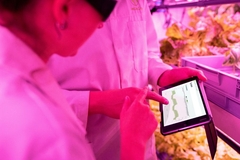 scientists working in lab with tablet analytics in hand