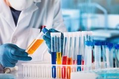 Image Scientist
