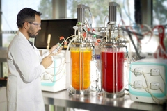 Image a male scientist working in the lab with red and orange liquid in fermenters