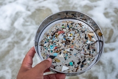 Image sieving through plastics on beach