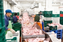 Image A meat processing site.