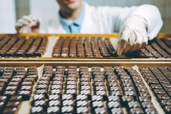 chocolate candies in a factory