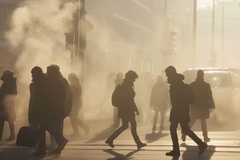 Shadows of people walking in a polluted street.