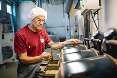 Image a scientist in a red shirt checking coffee beans quality