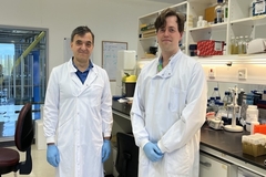 Professor Xavier Donadeu and Dr Tom Thrower in the lab.