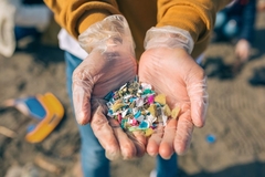Image hands holding plastic found on beach
