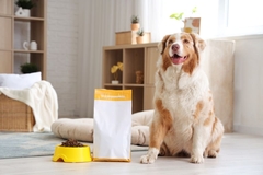 Image dog with packaging
