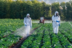 A farm worker spraying pesticide.