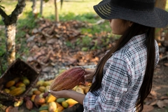 woman in a check shirt and hat holding a cacao fruit in the forest