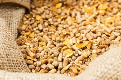 Animal feed