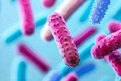 Gut microbiome