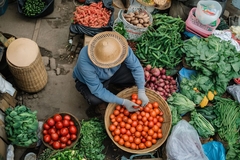 Image vegetable grocer in market