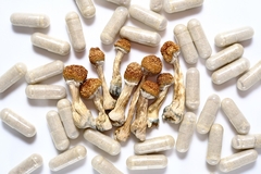 Image Psychedelic mushrooms