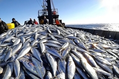 A fishing vessel.