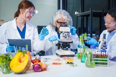 Image scientists in the lab working on crops