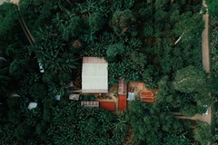 Image Deforestation.
