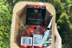 Image Tomatoes in paper-based punnets.