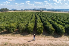 Farmer in a field in Brazil.