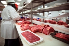 A beef plant.