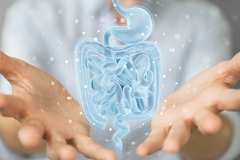 Image Gut microbiome