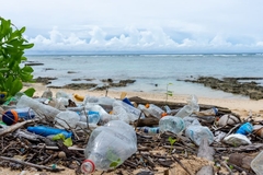 Image A pile of plastic bottles on a beach.