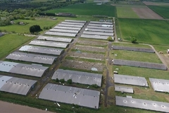 Image poultry farm