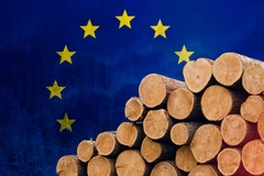 Image EU wood