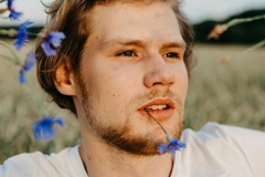 Image man with cornflowers in field